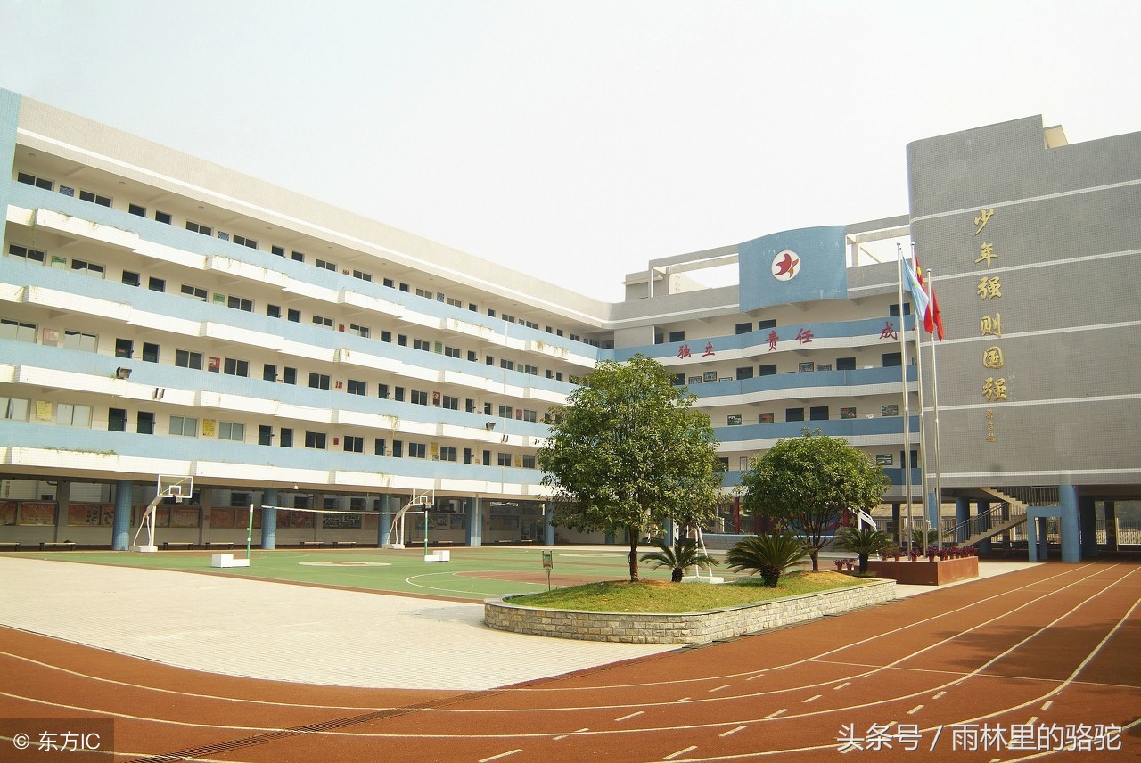 山东大学零门槛转专业,山东大学转专业政策2021