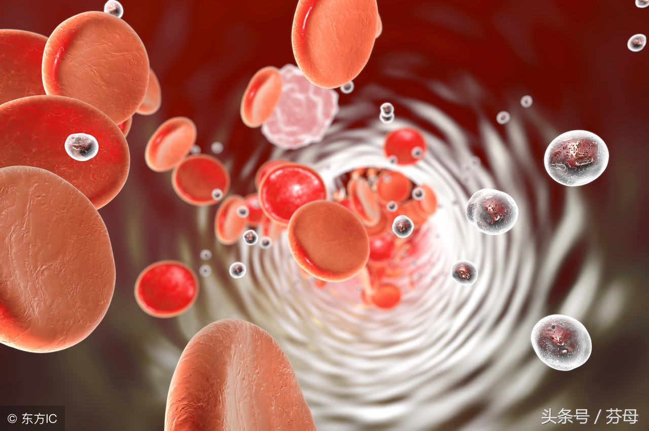 孕妇唐氏筛查需多少时间才有结果,唐氏筛查孕妈需要提供什么信息