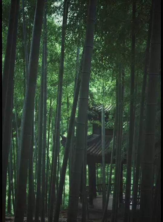 睡进这间藏身青山湖边的理想酒店，一起探寻临安城的悠居岁月~