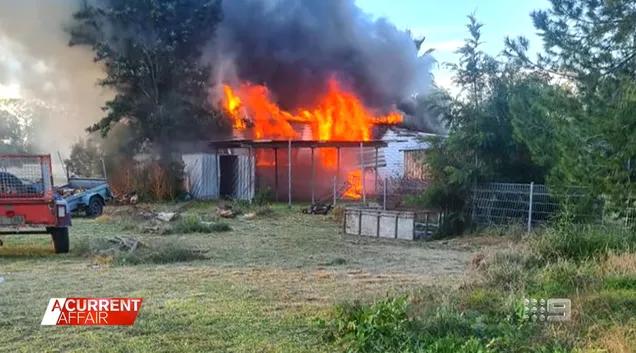 澳大利亚鼠灾事件视频,澳大利亚鼠灾真实事件