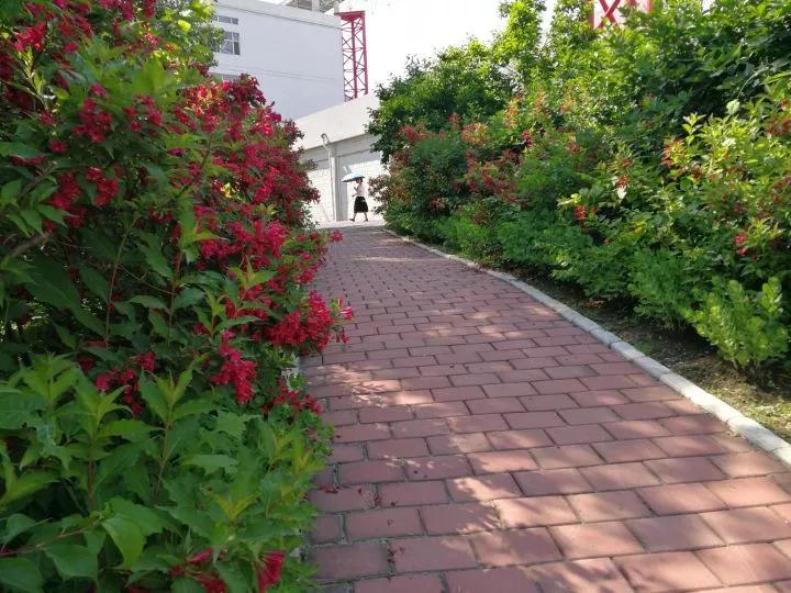 吉林市第一中学吉林市排名,吉林市省重点高中