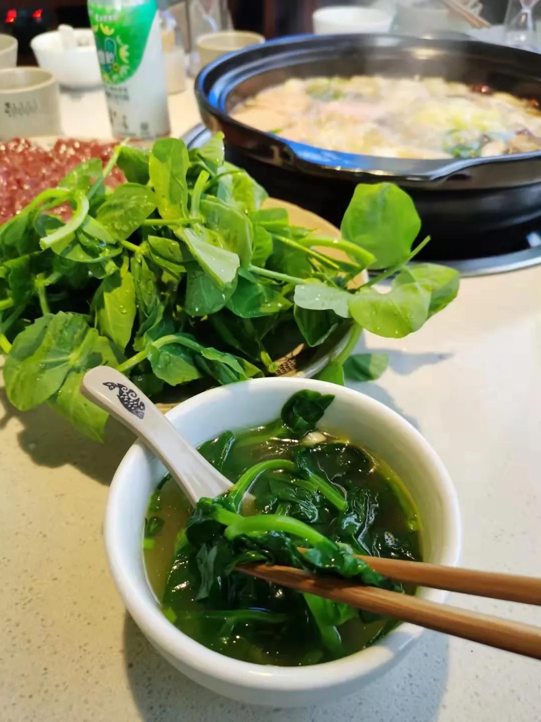 为了绿牌提车的人,为绿码奋斗