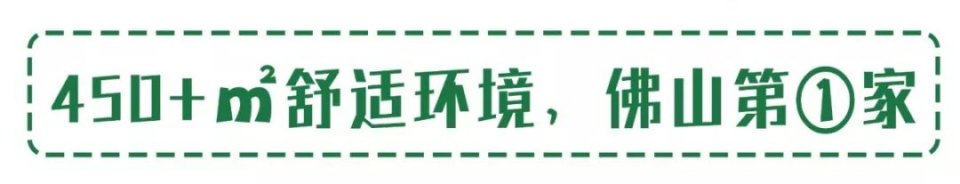 把菜园搬到餐厅,把菜园搬到家门口