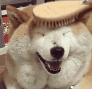 疫情中的替代性创伤,疫情替代性创伤