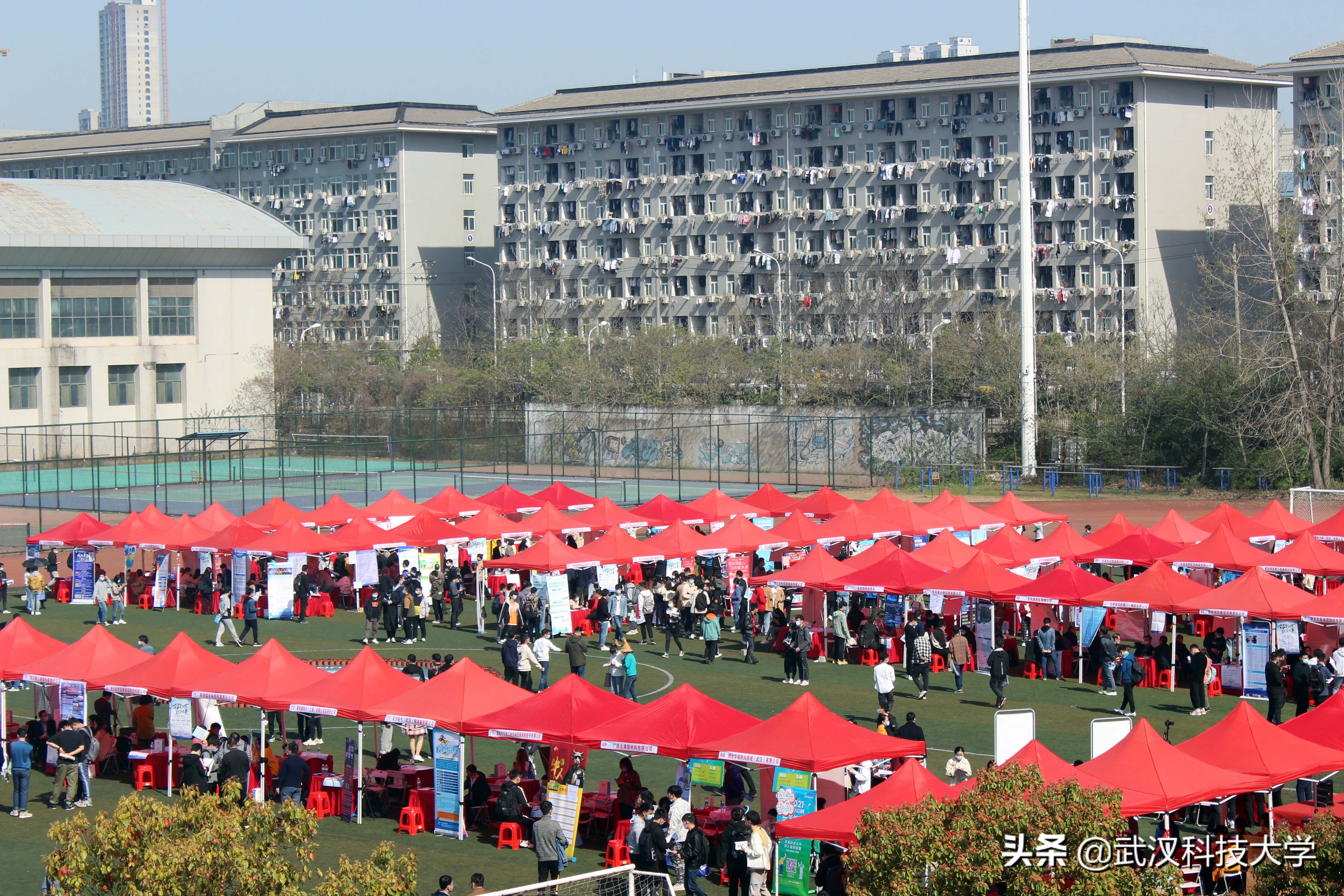 武汉高校招聘博士待遇,湖北高校待遇调整