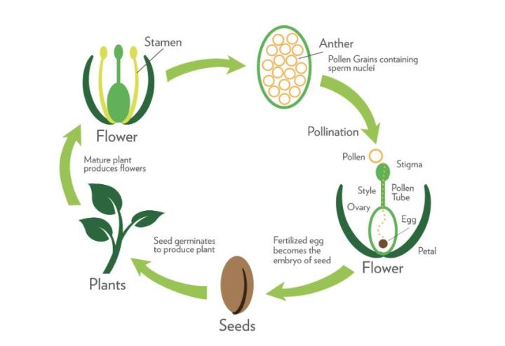 阿伦托福写作讲解,教书匠阿伦托福写作真题
