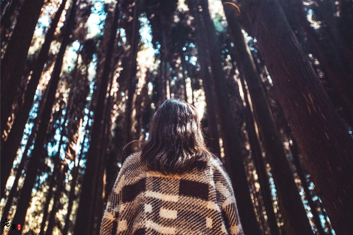 重庆森林拍摄打卡景点,秋冬石柱适合拍照的地方