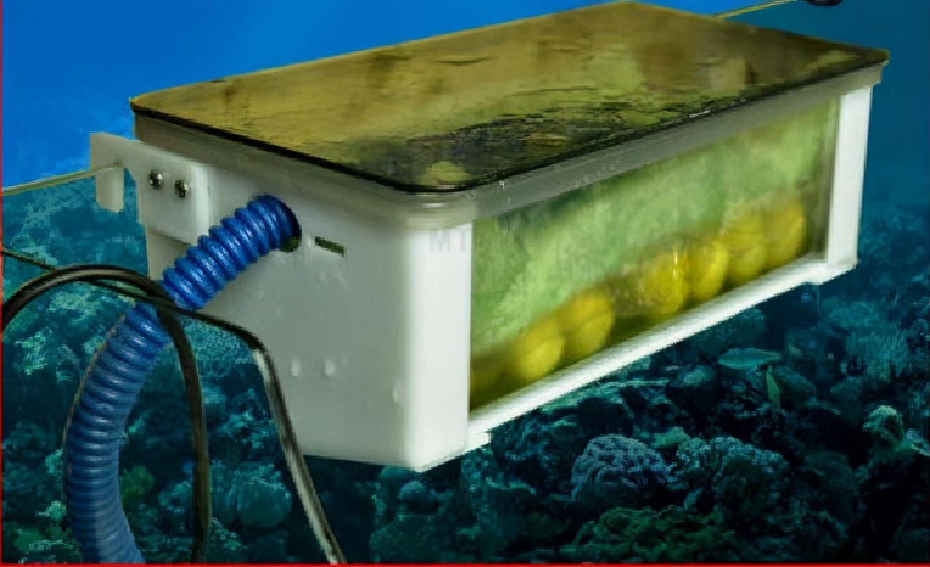 养鱼干货分享过滤系统的重要性,养鱼最佳的过滤方法