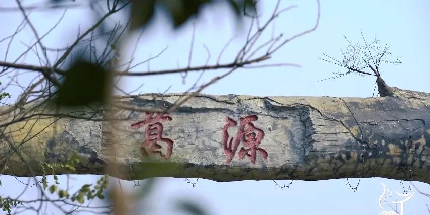 葛根性寒加什么暖胃,北有人参南有葛根的功效和作用