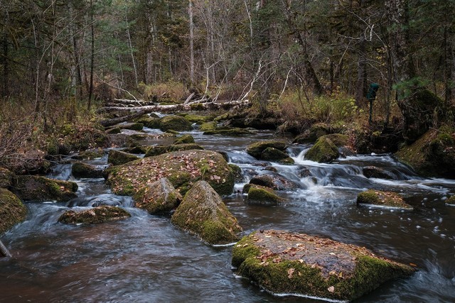 富士小巧轻便,富士轻便的相机
