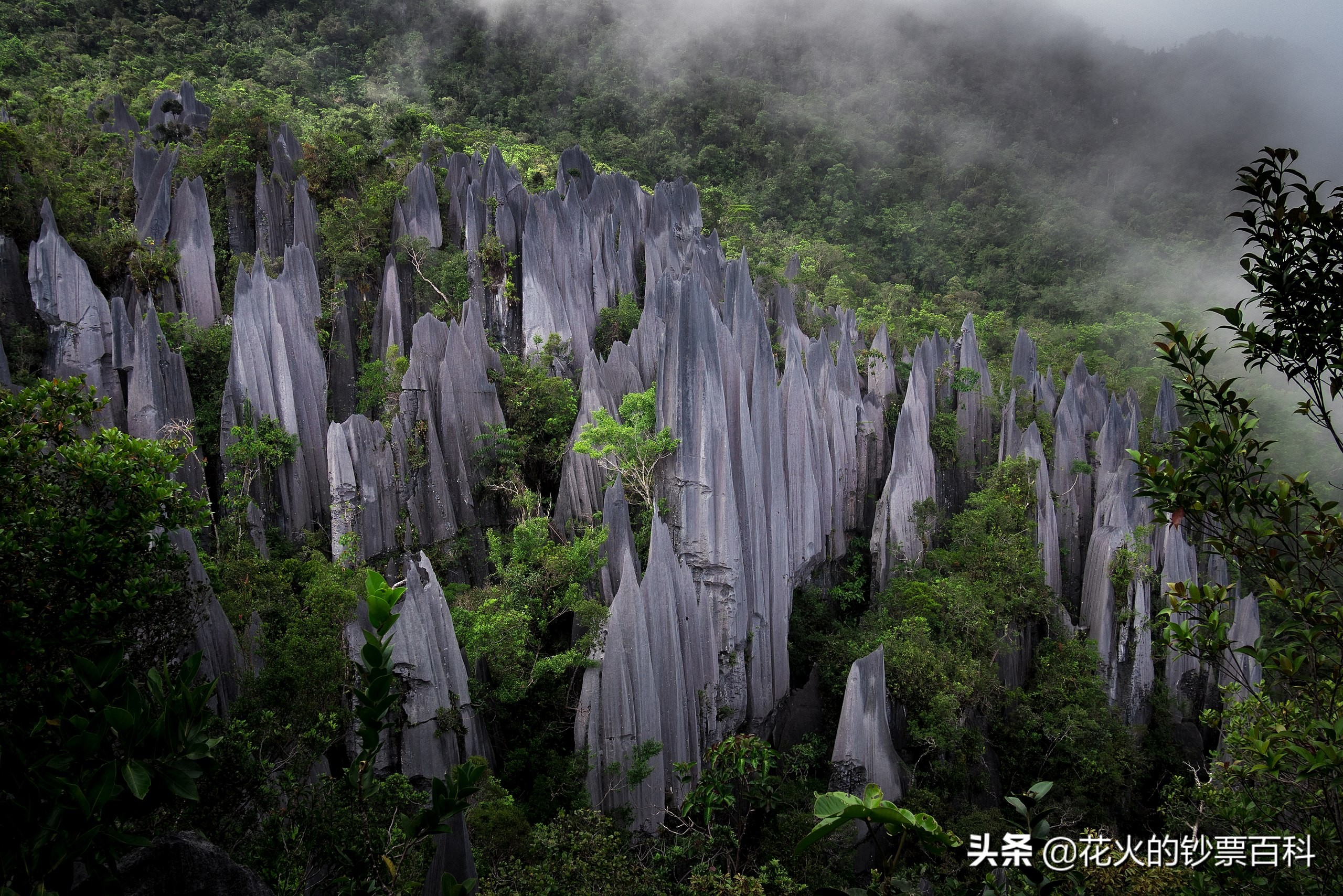 马来西亚最值钱的钞票,马来西亚老钞票1块
