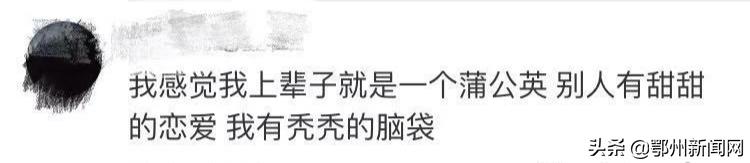 太秃了用什么假发片,秃头怎么办才能防脱发