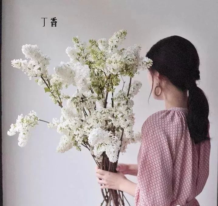 花店里同款的两种不同价格的花材,花店最容易被顾客误解的几种花材