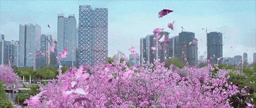 广西人带你走进不一样的广西,来广西感受广西人的风情