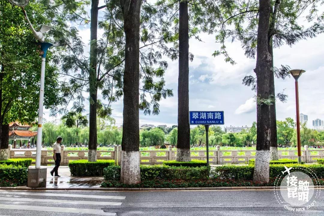 昆明富人住哪个区,住在昆明翠湖是怎样的体验