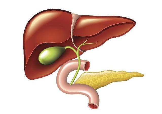 乙肝入职体检小三阳肝功能正常吗,入职体检乙肝45阳合格吗