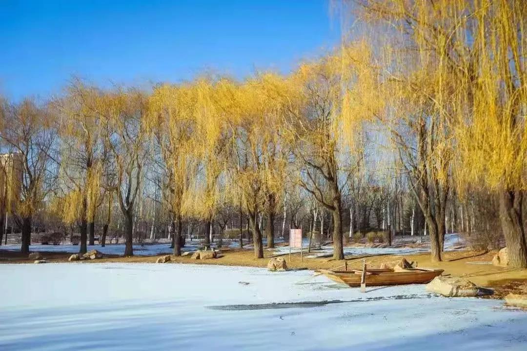 辽宁省高等院校分布图,辽宁省高考报考沈阳航空航天大学