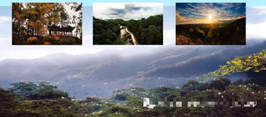 有个地方叫巴中抖音版,平昌好玩的地方