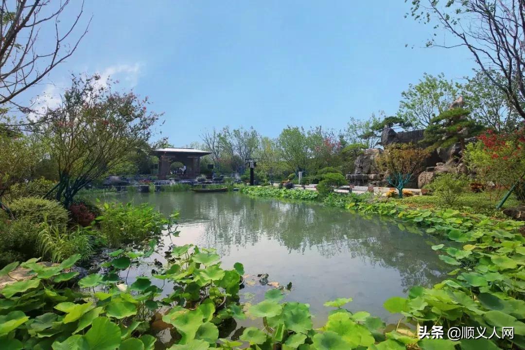 2021年顺义新开盘的限竞楼盘,顺义限竞房新楼盘