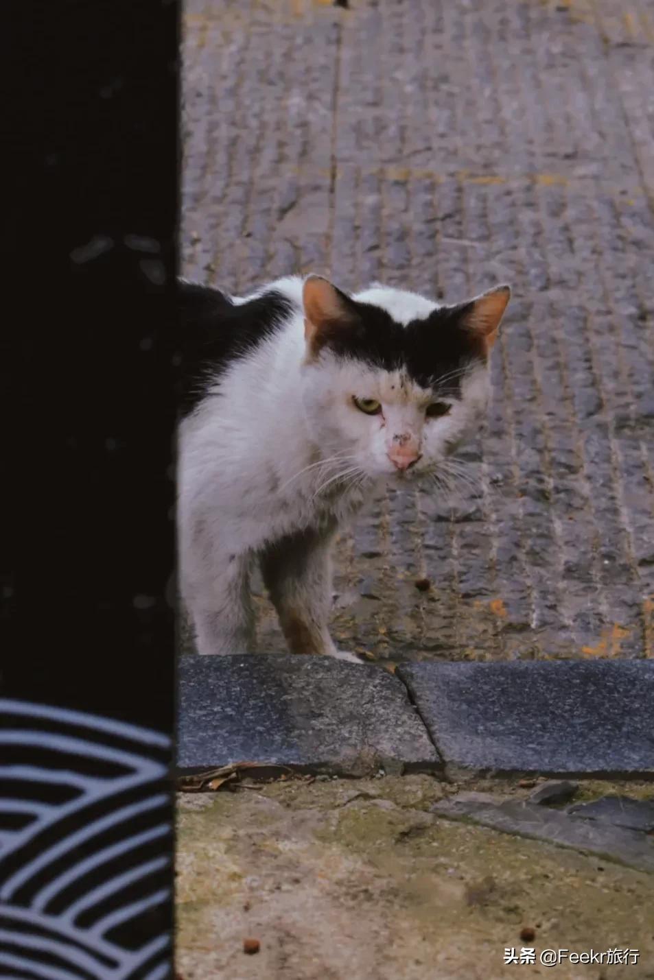 中国世界美食之都,中国世界美食之都排名