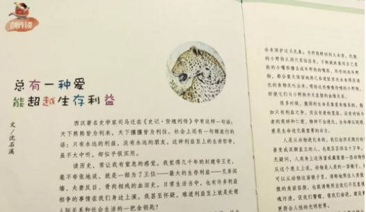 不知道给孩子订哪些杂志,看这篇