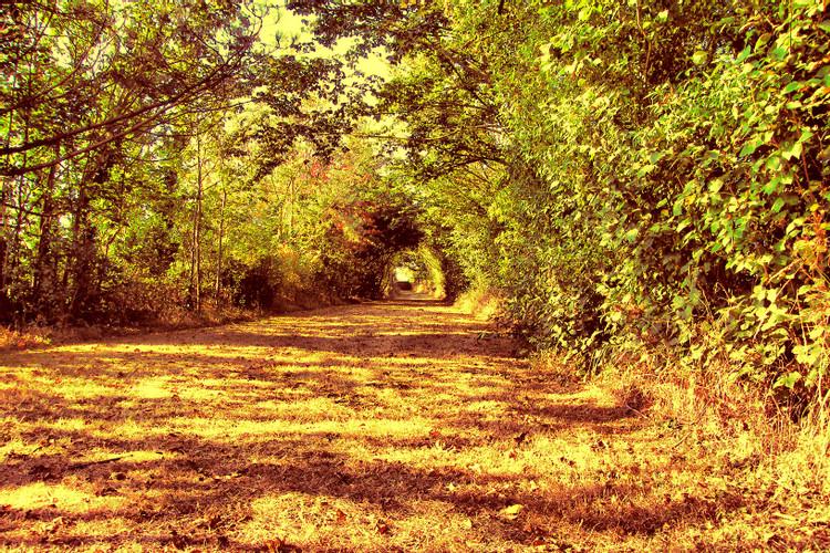 铁岭是宇宙的尽头,铁岭宇宙中心