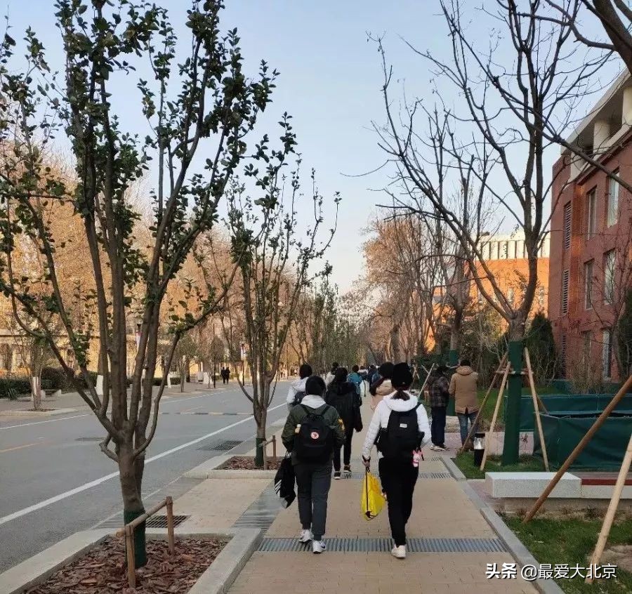 羡慕啊！住在双清路就是不一样