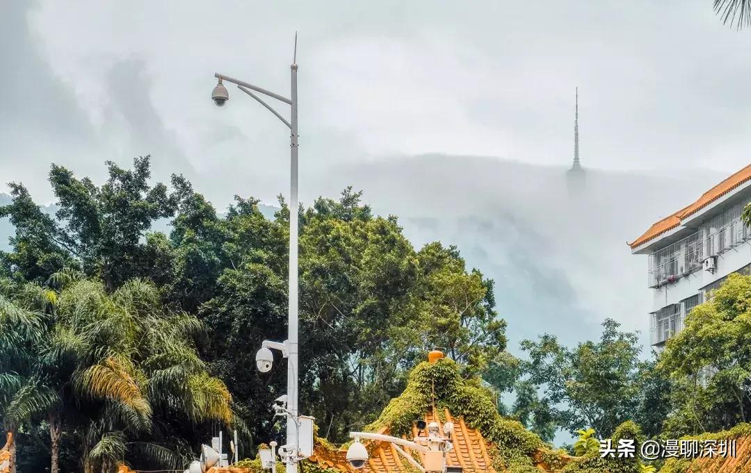 深圳空气中氡含量全国第一,深圳市负氧离子大概是多少