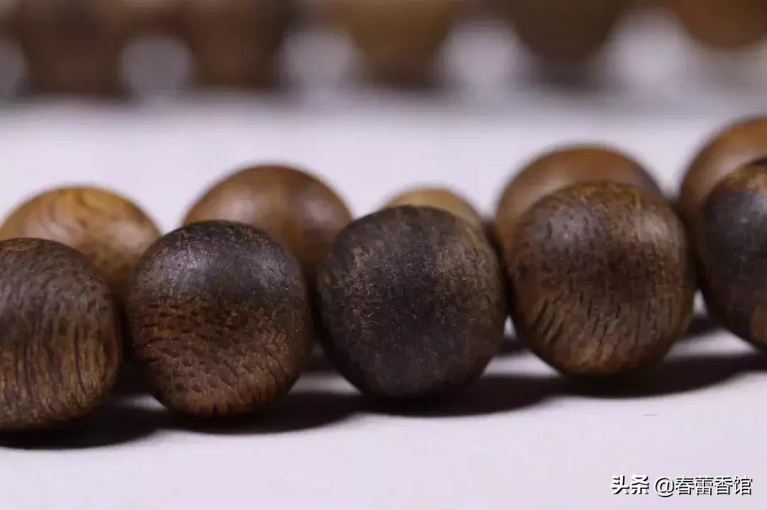 奇楠香各种品种,奇楠沉香最好最大的树