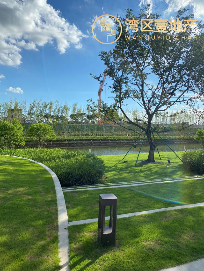 南沙明珠湾总价1字头起,南沙明珠湾区房源