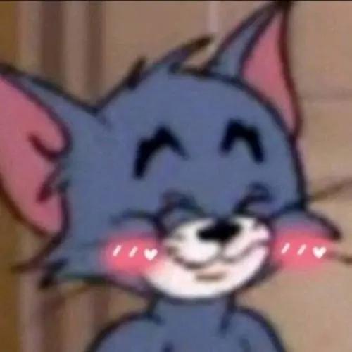 什么叫talktoyoulater,talktoyou什么意思啊