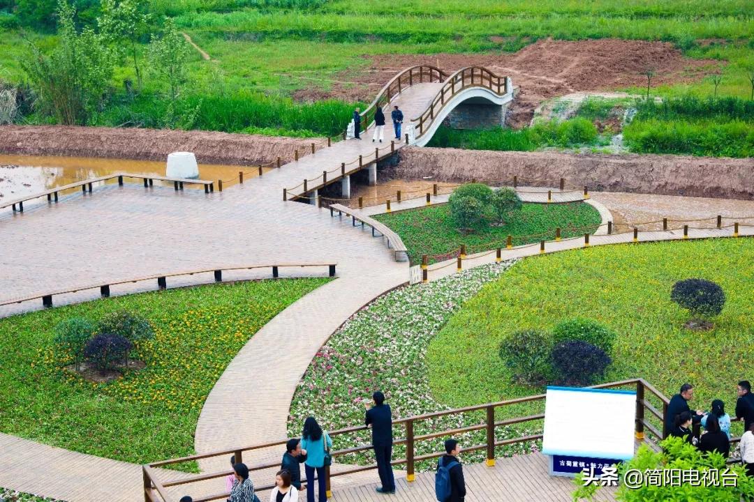 遇见天府雄州|陈新:一道美食映照的修为