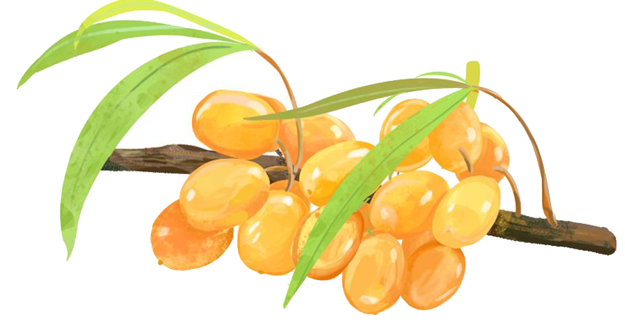 提神糖真的有用吗,增强免疫力的糖果