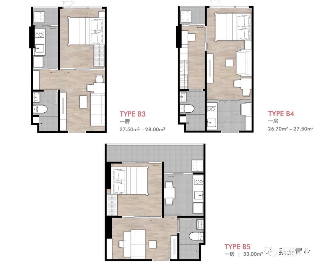 年轻生活！THEORIGIN拉差达性价比之王