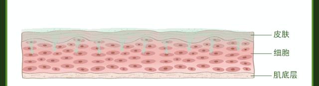 揭秘水光针不止能补水,水光针的真实效果