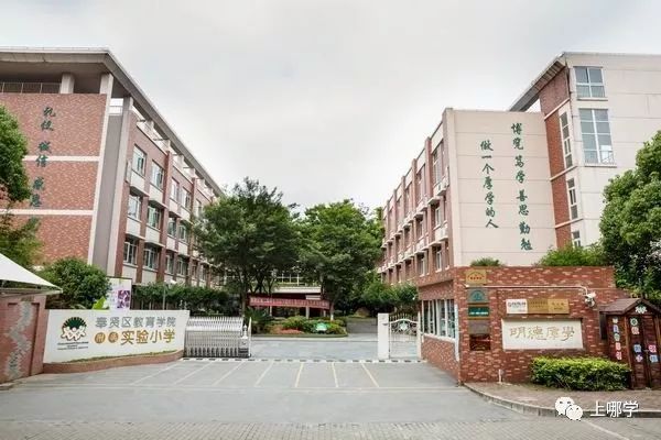 最新奉贤区小学排名,上海市奉贤区小学