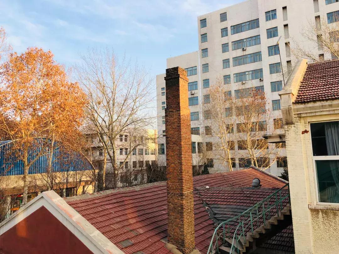 山东科技大学,不再见!