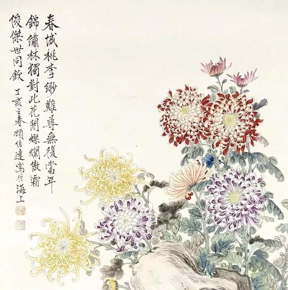 淡雅菊花国画100幅临摹,国画深秋菊花风景写意