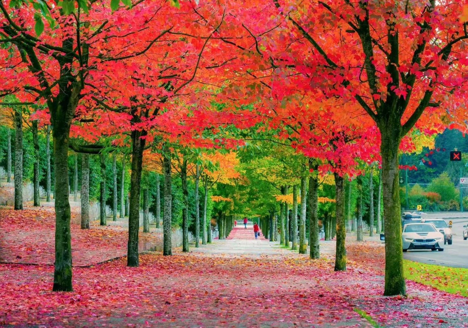 “公猪之城”多伦多：位于安大略湖西北部，也是加拿大最大的城市