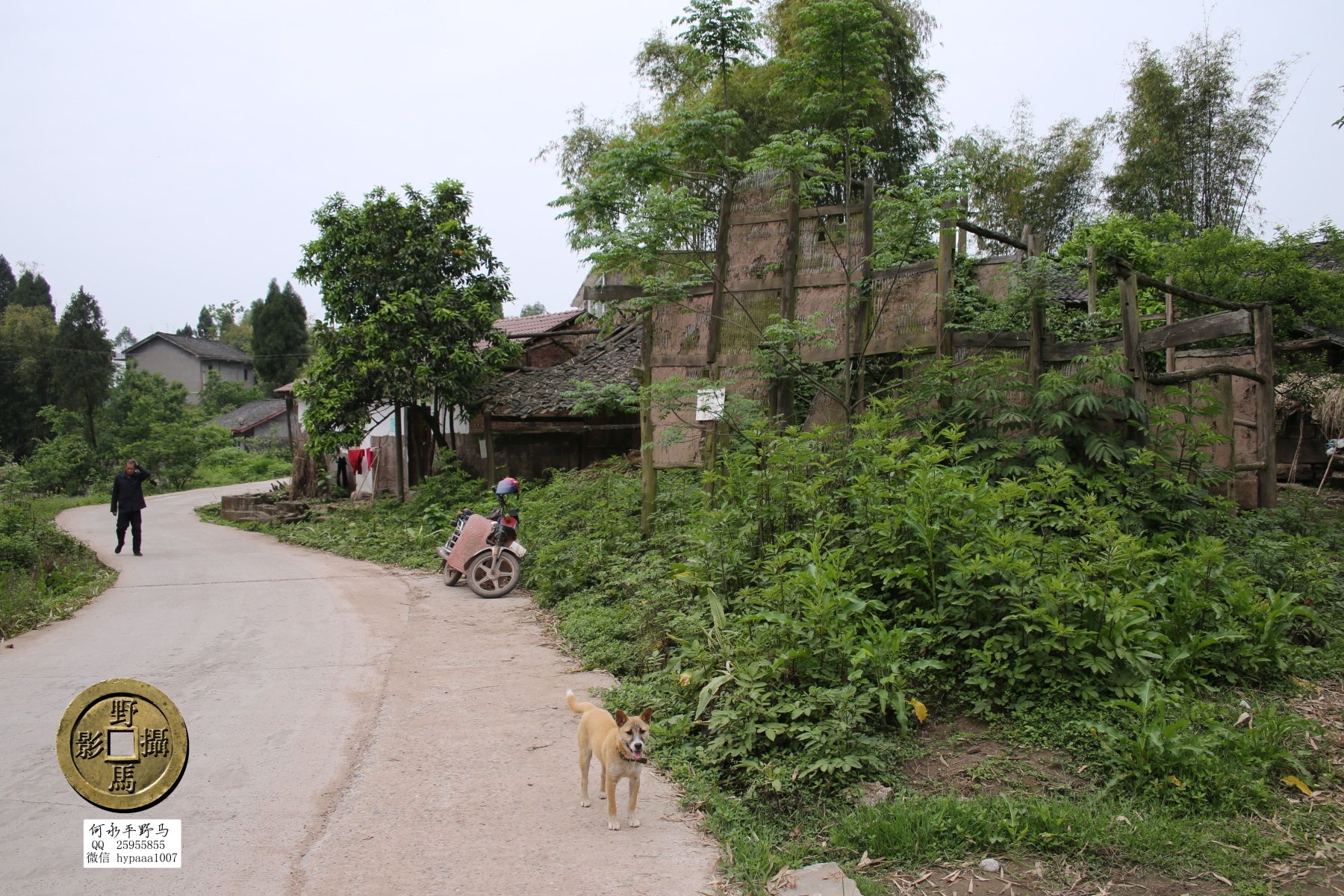 广安撤县名单查询,70年广安县有多少个人民公社