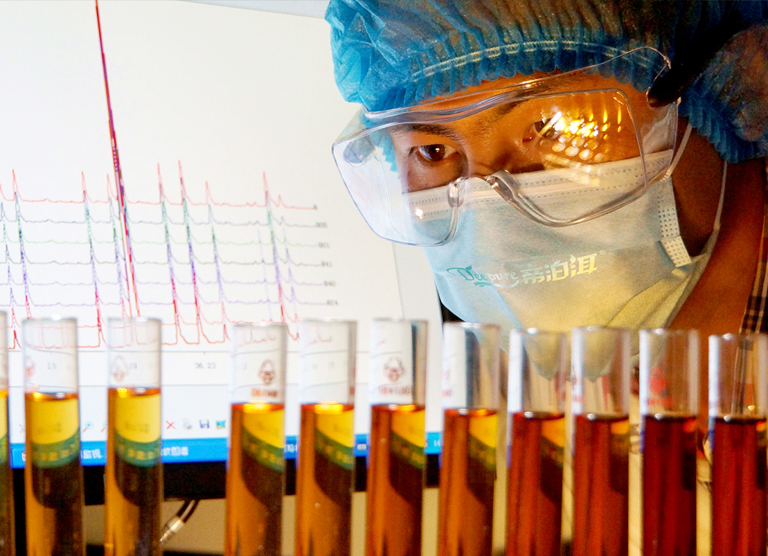 高端糯米香普洱茶,帝泊洱普洱茶糯米香