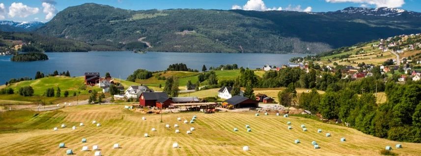 橄榄系列零食,经典零食橄榄