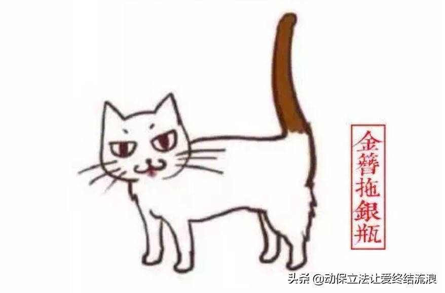 中华田园猫的寿命一般有多少年,中华田园猫哪种捉老鼠最厉害