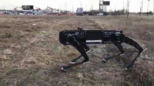 外国人研究四足机器人,国内四足仿生机器人研究现状