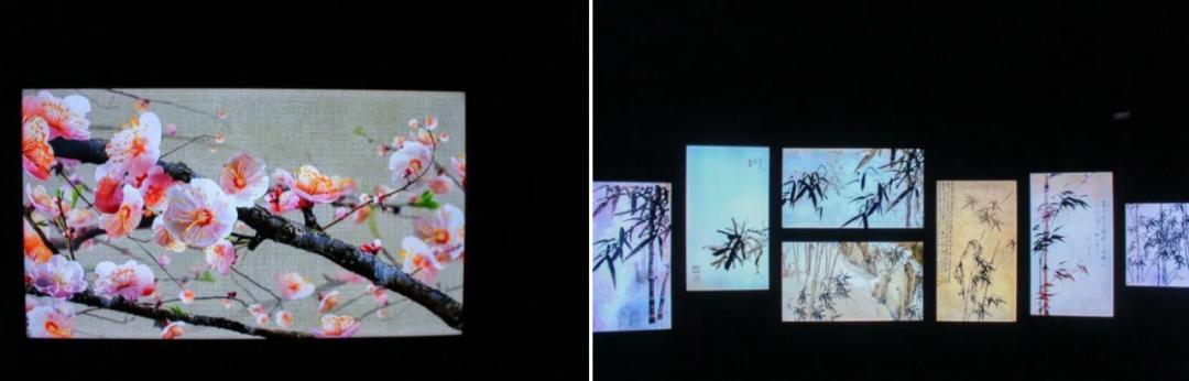 竹林被韩国申遗成功了吗,全球唯一申遗的古茶山