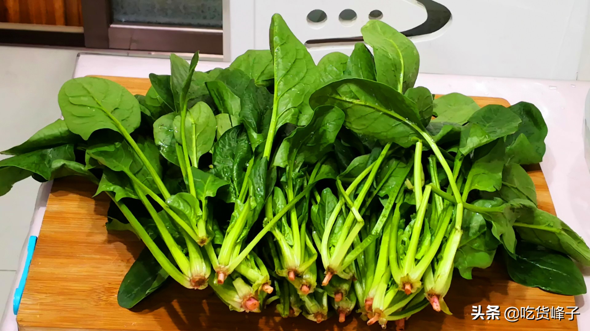 玉米面菜团子怎么和面,做玉米面菜团子需要酵母粉发酵吗