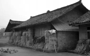 乐山大佛为何不属于石窟,乐山不止有大佛还有美食