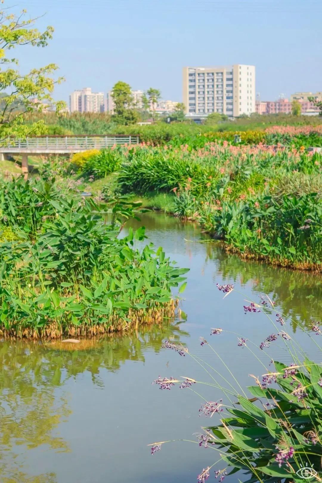 6号线都有什么景点,六号线能去的免费景点