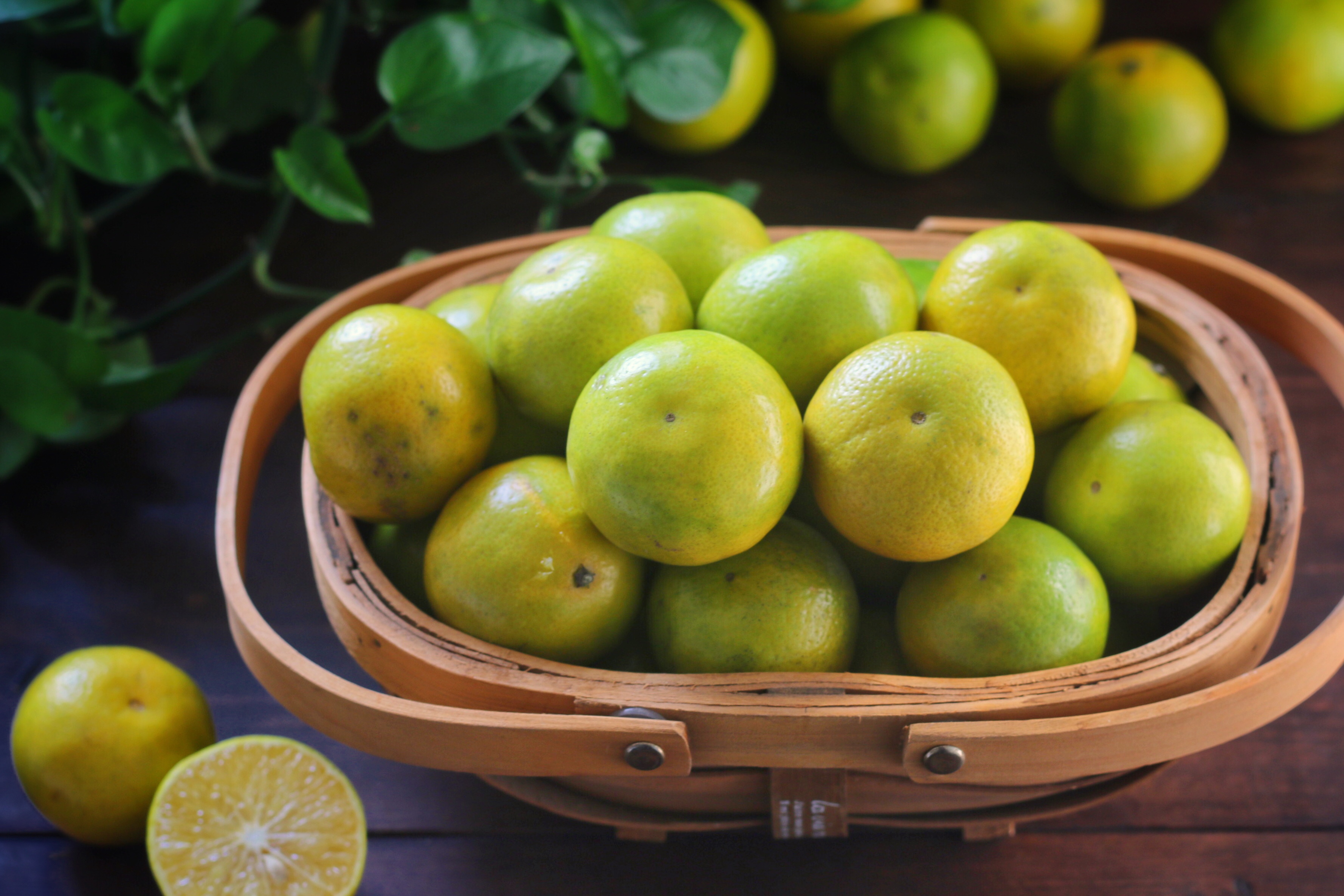 皇帝柑口感最好的时间,新鲜的皇帝柑是怎样的