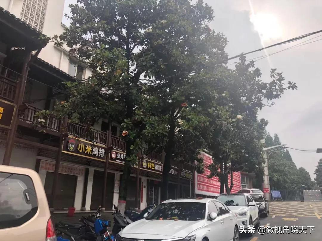 信阳最好的5所高中,信阳最好的十所高中